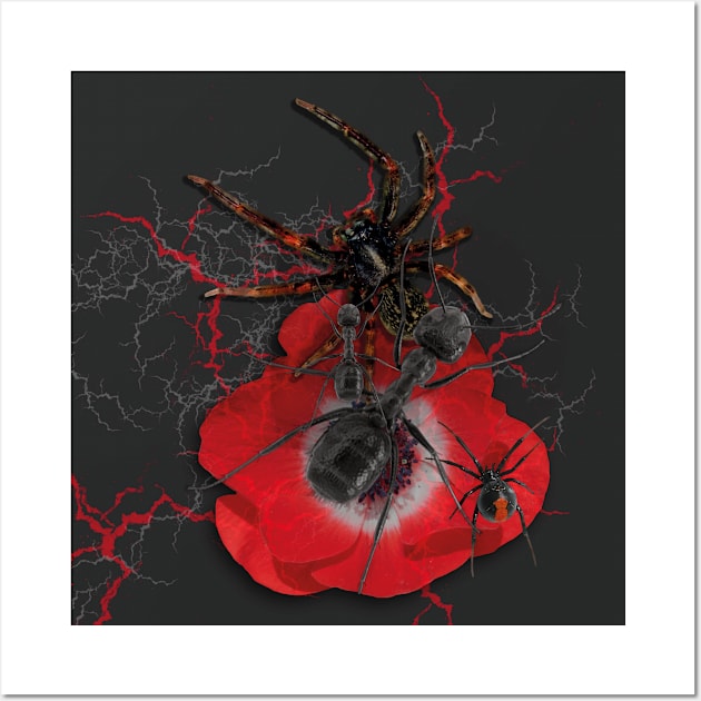 Spiders, Ants and Poppy Wall Art by MeditativeLook